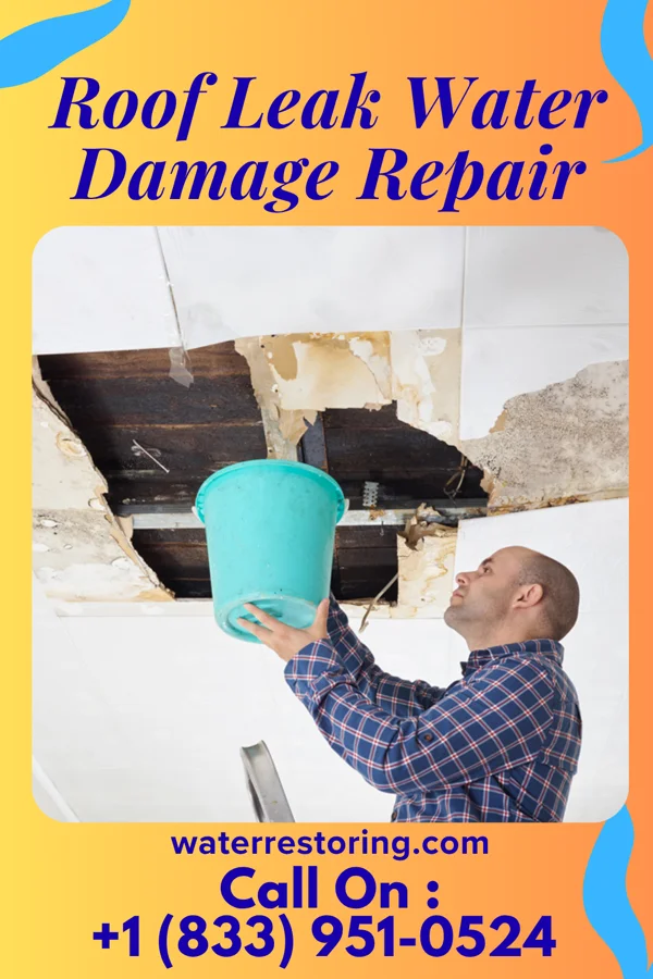 Roof Leak Water Damage Repair in Dumont, IA